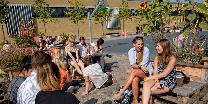 Over 2.200 unge kan efter sommerferien få deres daglige gang på DTU. Foto: Mikal Schlosser