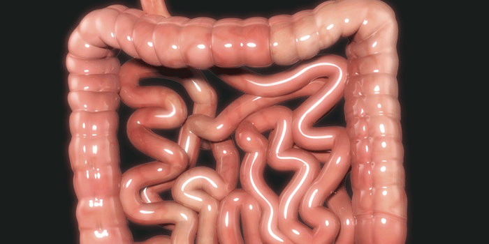 Microbes in the human gut can harbour resistance genes