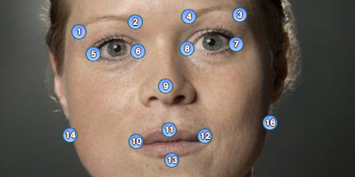 Med punkterne i ansigtet er det muligt at opmåle de ansigtstræk, der bruges i analysen. Her er det forskeren selv, Karin Wolffhechel fra DTU Systembiologi, der lægger ansigt til. Foto: Mikal Schlosser