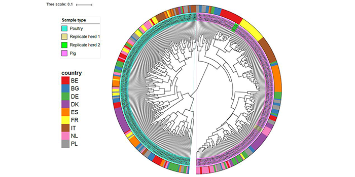 Graphic: National Food Institute. Similarity between farms in relation to resistance profiles.