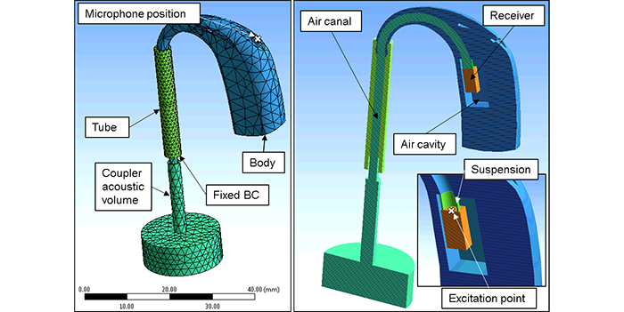 Hearing aid model (Illustration: Ester Creixell Mediante)