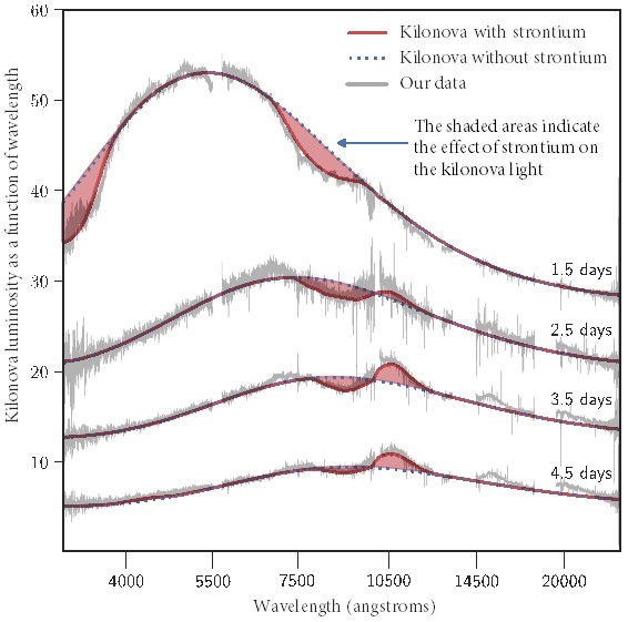 Four spectre of light from a kilonova indicating the presense of strontium. (Figure: Niels Bohr Institute/DTU Space)