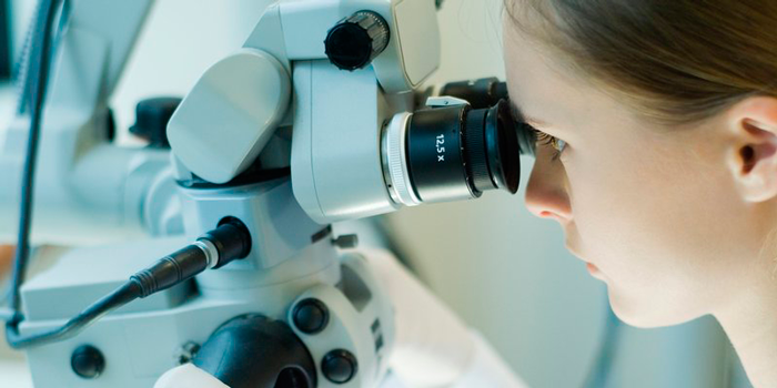 Researcher microscope