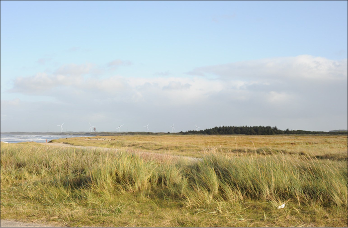 Østerild
