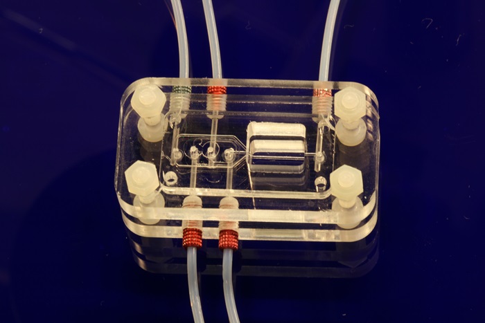 Billedet viser en mikrofluid plastikchip, som er forbundet med slanger, så prøven automatisk kan pumpes over på chippen, hvor den analyseres (Foto: ChemLabChip-gruppen, DTU Nanotech)