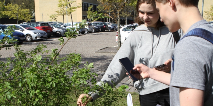 Foto Cecilie Bille Larsen
