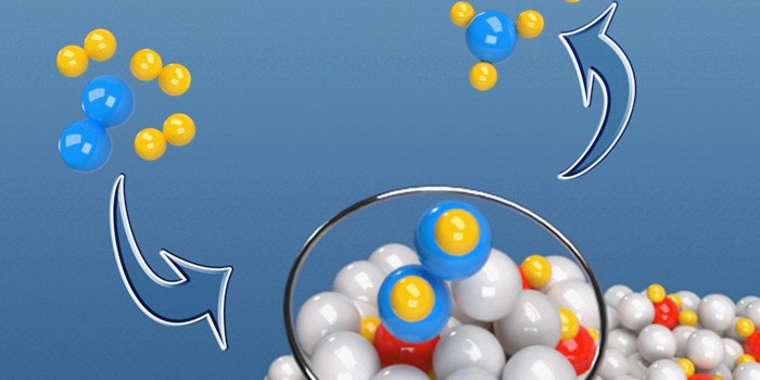 Hydride at play  Mild-condition ammonia synthesis from N2 and H2 is a long-sought-after scientific goal and a practical need, especially for the intensively pursued “Green Ammonia” production using renewable H2. Here, Chen, Vegge and their co-workers find that ternary ruthenium complex hydrides Li4RuH6 and Ba2RuH6 are a new class of catalysts for mild-condition ammonia synthesis. The unique configuration and synergized scenario of the complex hydrides favor an associative activation and reduction of N2 towards NH3 formation (https://www.nature.com/articles/s41929-021-00698-8).  Illustration: DTU.