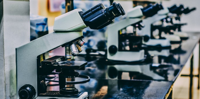 Life science. Photo by Ousa Chea on Unsplash
