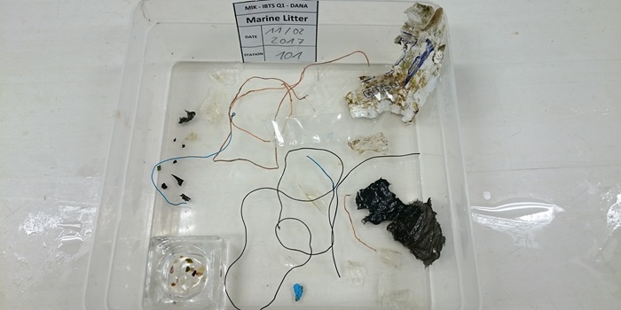 Different types of marine litter collected during herring larvae surveys in the North Sea. Photo Bastian Huwer.
