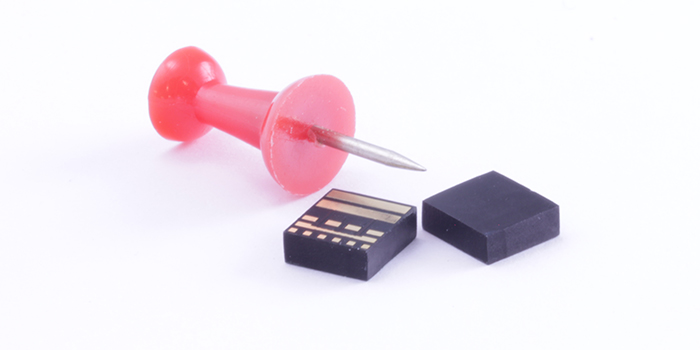 (Photo: Lotus Microsystems)