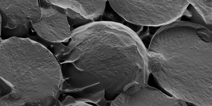 DK: Fiskeolieemulsion. Foto: DTU Fødevareinstituttet | UK: Fish oil emulsion. Photo: National Food Institute.