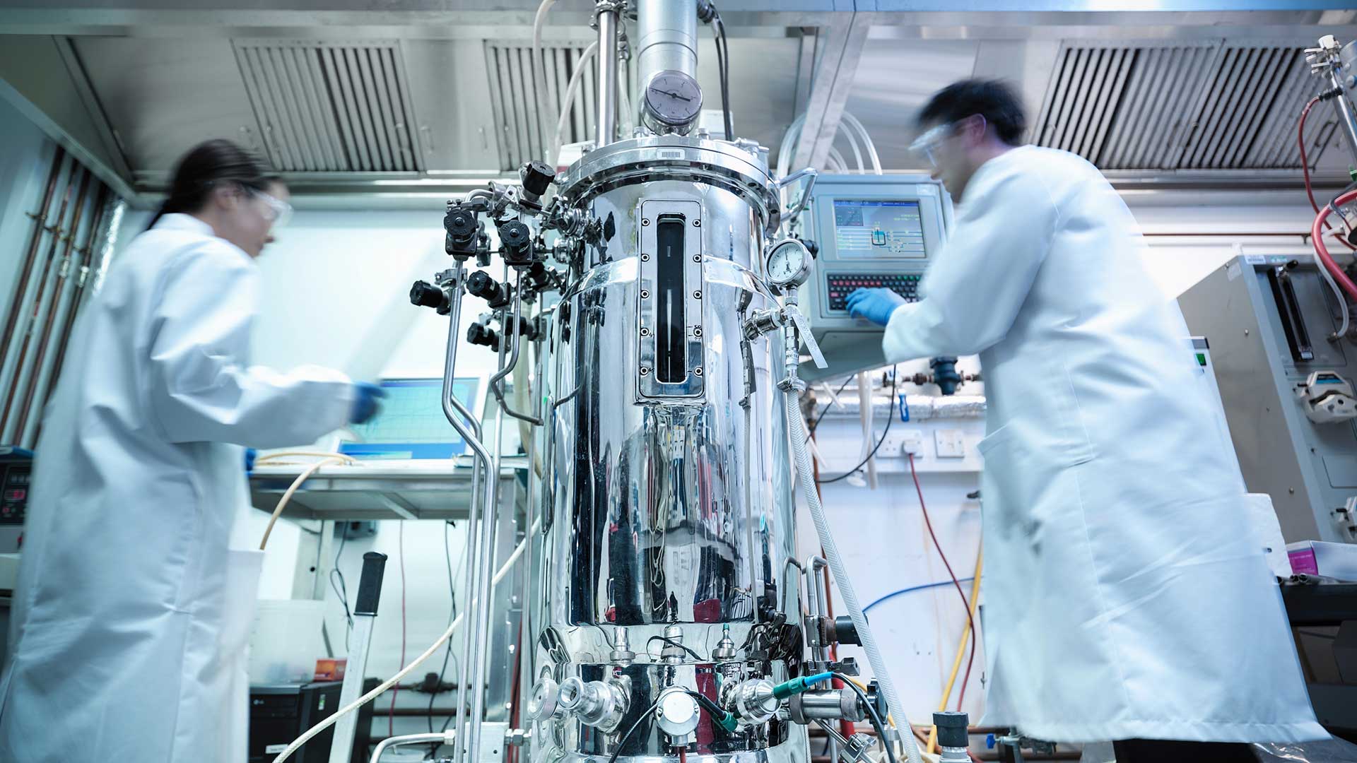 DTU forsker og uddanner i fermentering. Med fermentering kan mikroorganismer producere en lang række stoffer som kan udnyttes til f.eks. medicin og fødevarer. Foto: Shutterstock
