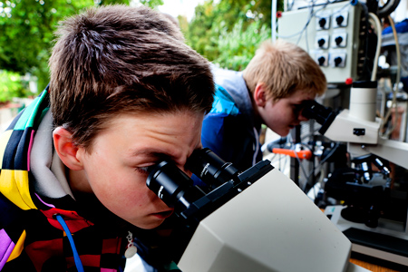 tivoli2011_mikroskop_web.jpg