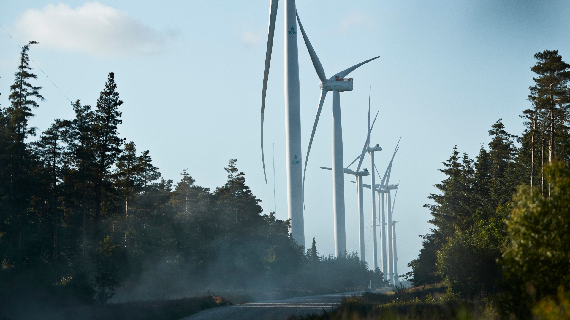 Kæmpemøller på række i Østerild Plantage.