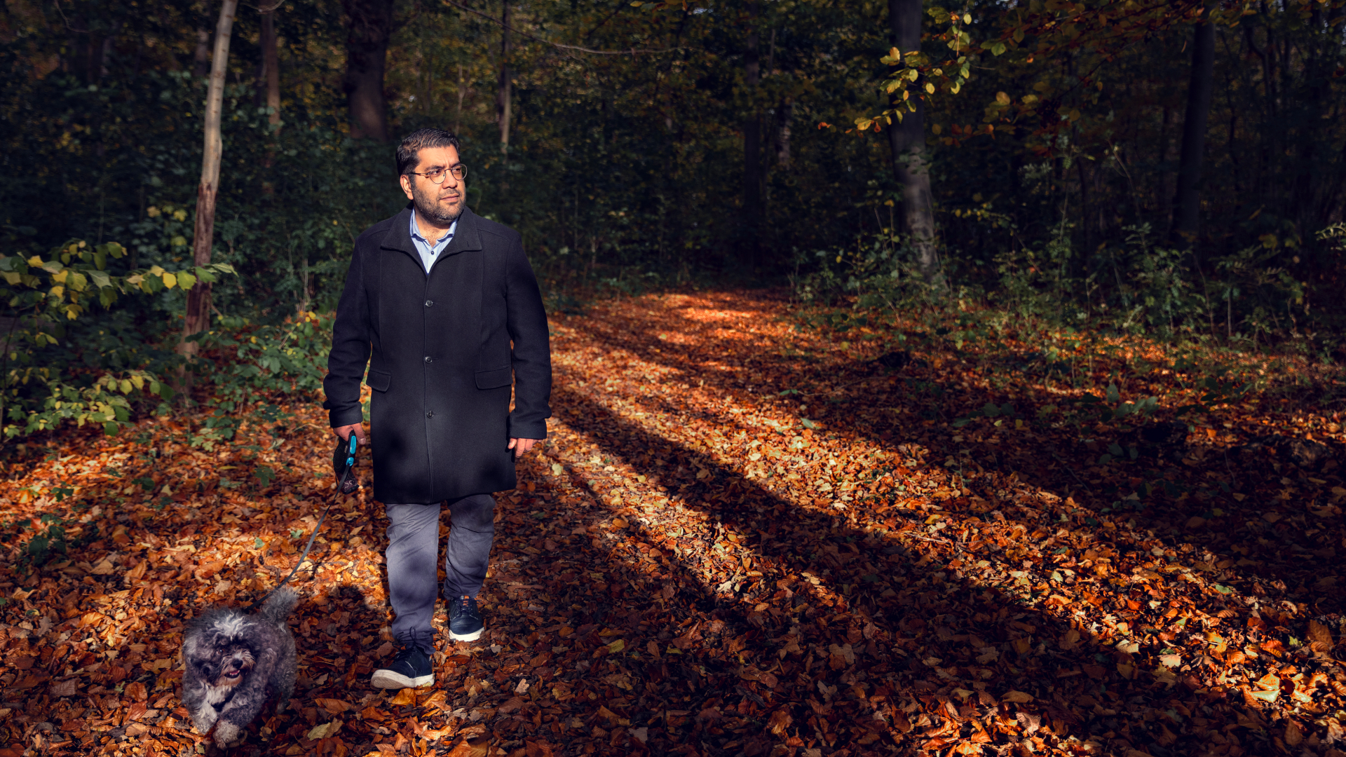 Mange af Seyed Mansouris idéer opstår, når han holder pause fra forskningen på DTU. F.eks. når han rejser, møder mennesker med andre baggrunde eller går tur med sin hund i naturen i Klampenborg nord for København. Foto: Thomas Steen Sørensen