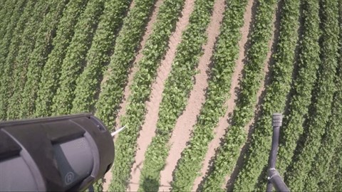Drone set fra luften der flyver over en mark og sprøjter BioPheros skadedyrsbekæmpelse ud.