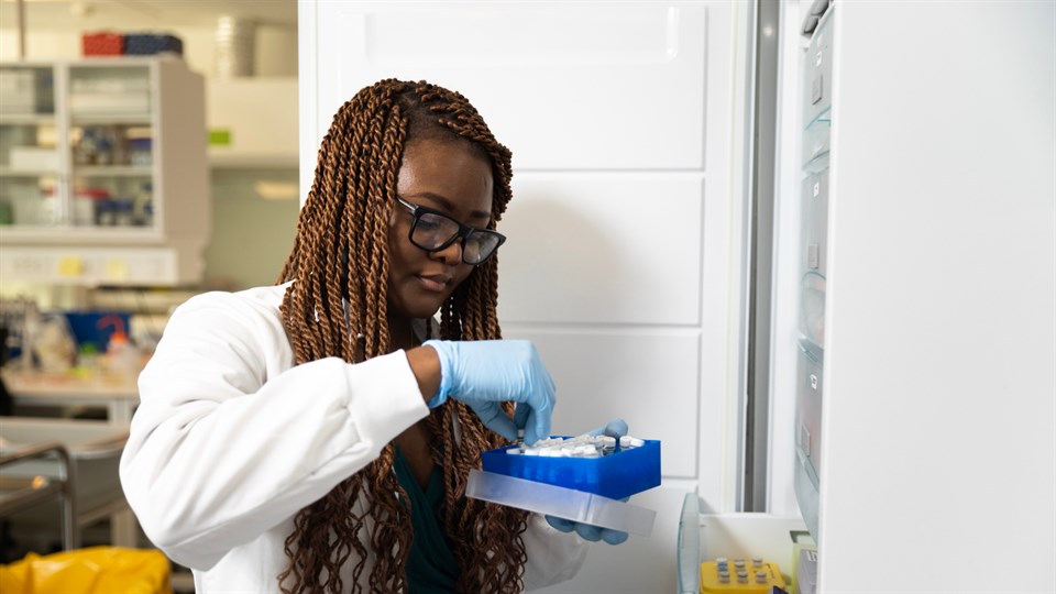 Postdoc Colleen Varaidzo Manyumwa har designet bakterien, så enzymet den producerer bliver ved bakterien, og processen med at binde CO2'en til kalksten sker lokalt.