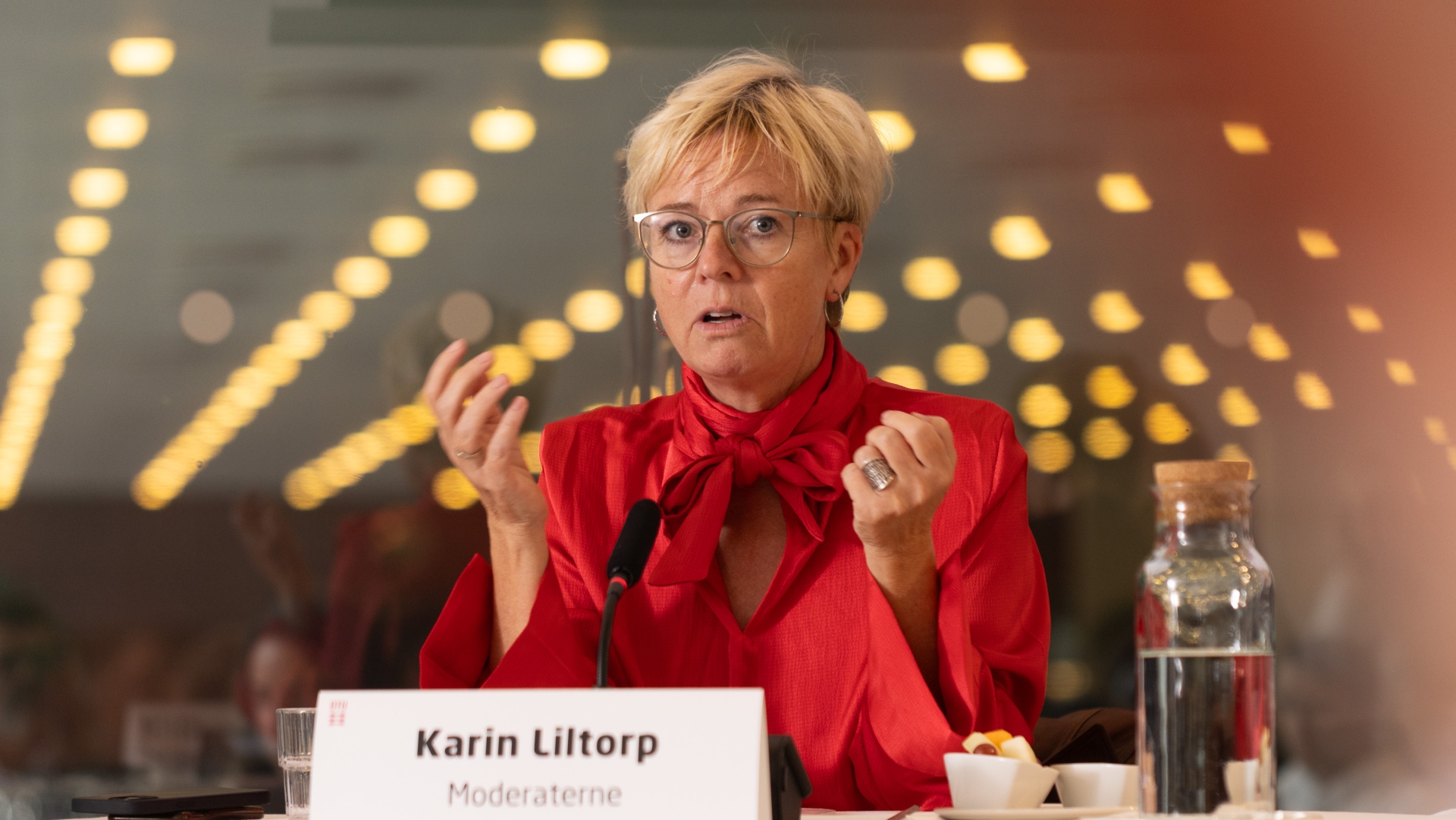 Karin Liltorp fra Moderaterne vil fastholde et bundniveau for de offentlige forskningsbevillinger på én procent af bruttonationalproduktet