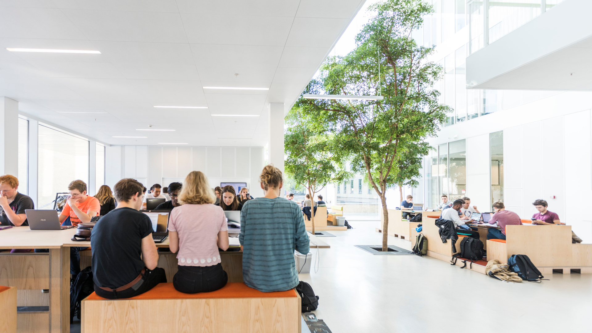 Studerende og medarbejder har mulighed for at arbejde i de lyse åbne omgivelser i bygning 324 på Lyngby Campus. 