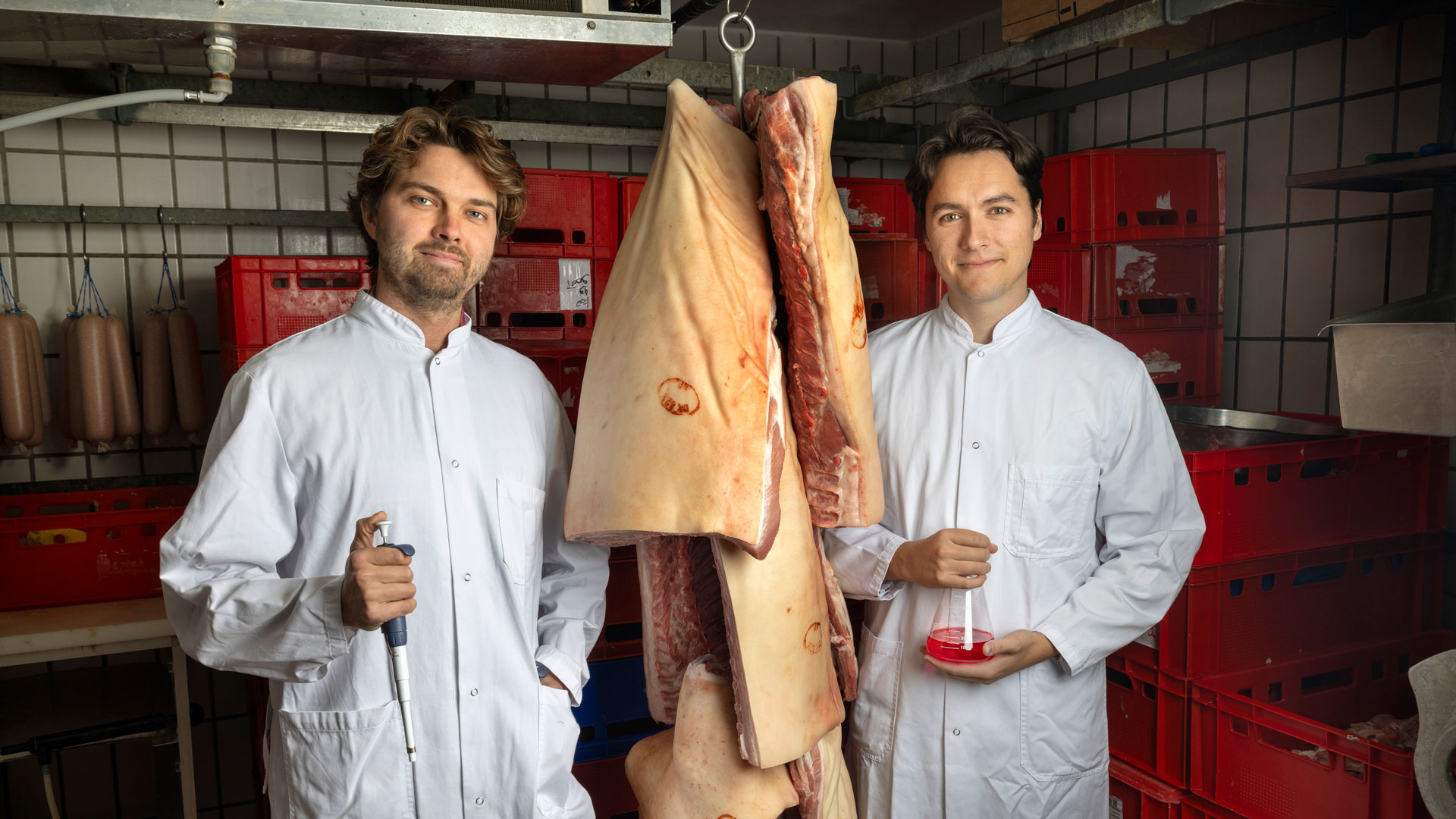 Om syv-otte år kan det være, at færre grise lader livet, når vi skal fremstille hakket grisekød. David Valbjørn (th.) og Matias Ankjær er begge medstiftere af virksomheden Meat Tomorrow, hvor de udvikler teknologi, der kan få grisestamceller til at producere kød.