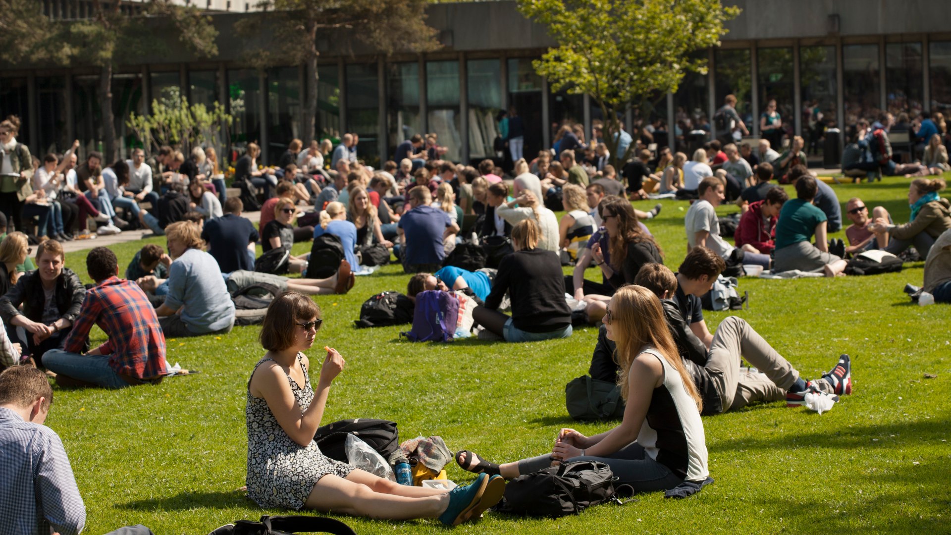 Studerende nyder solen i Grønnegården på Campus Lyngby