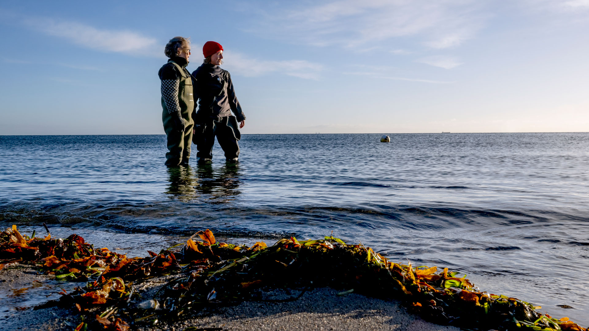 Professor Lone Gram og postdoc Nathalie Suhr Eiris Henriksen er begge mikrobiologer og optaget af at forstå mikrobernes rolle i Jordens øko- og klimasystemer.