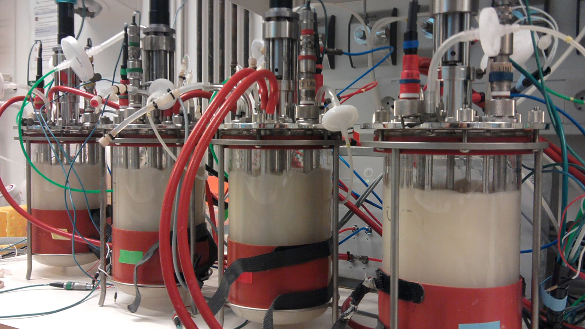 Fermentorer i et laboratorie. Foto: DTU