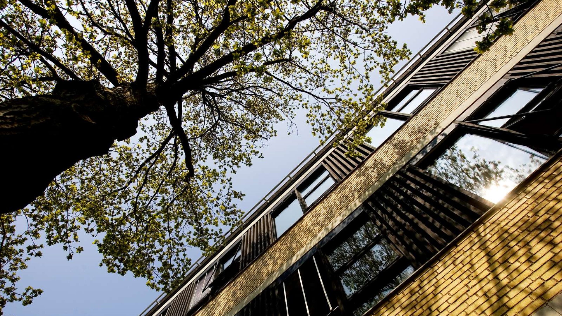 Billede af DTU bygning og himmel med træer. Foto: Klaus Holsting