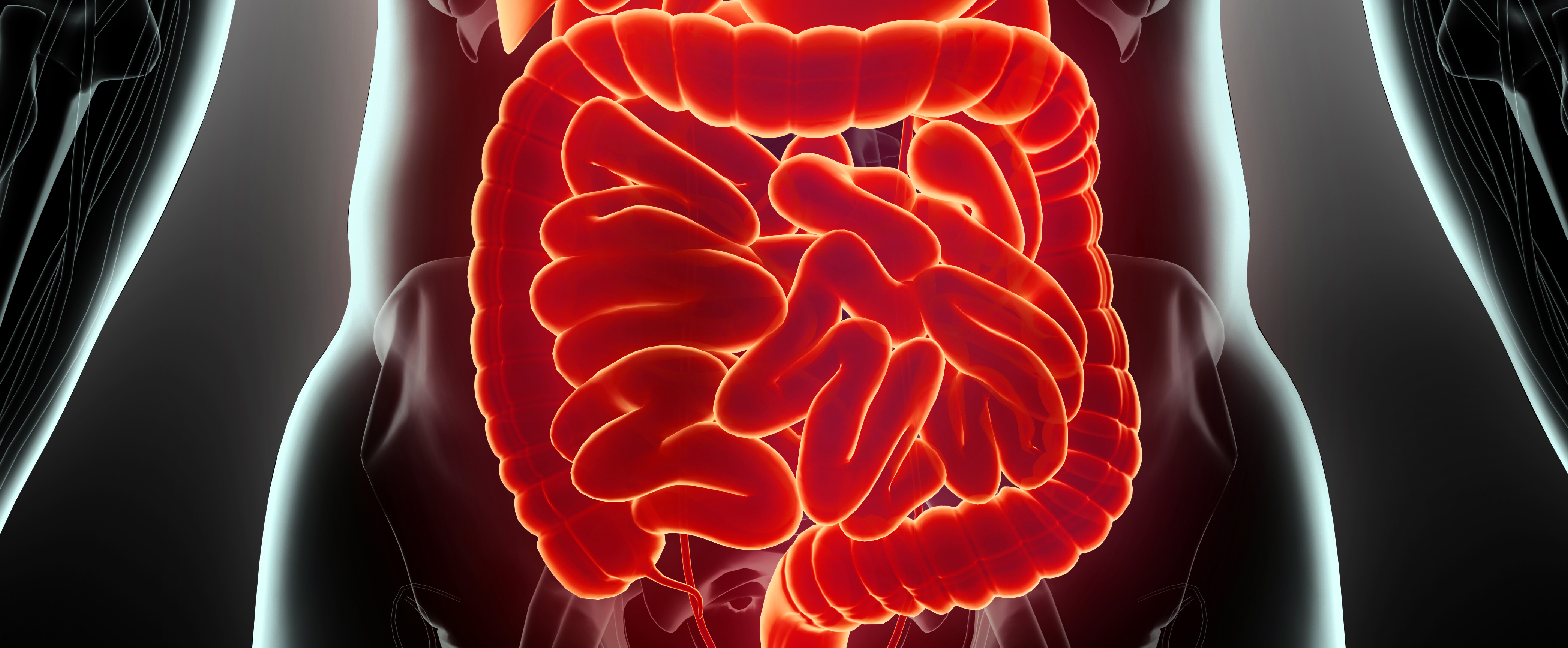 Et nyt samarbejde i Microbiome Health Initiative skal afdække årsagssammenhænge mellem tarmens mikrobiom og sygdomme som hjerte-kar-sygdomme og diabetes
