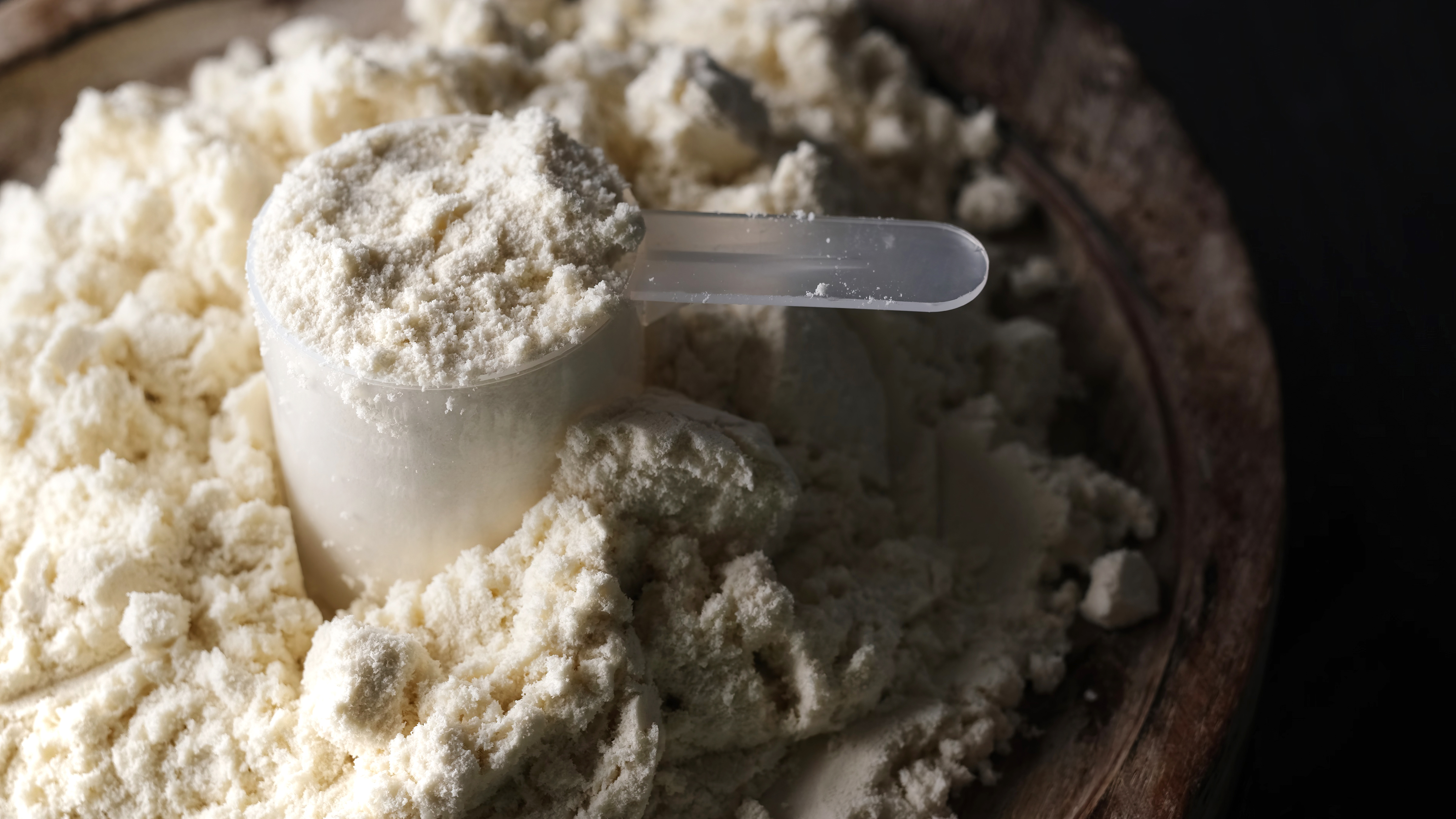 Gær, bakterier og svampe skal producere proteinrige fødevarer
