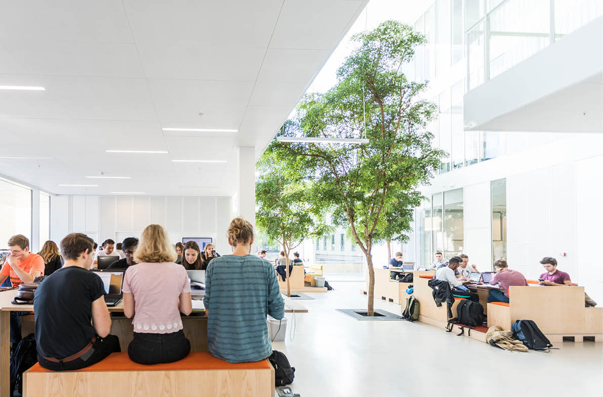 DTU Bæredygtighedsrapport omslag