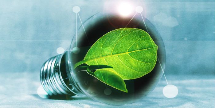 Smarte Energisystemer - pære med blad indeni