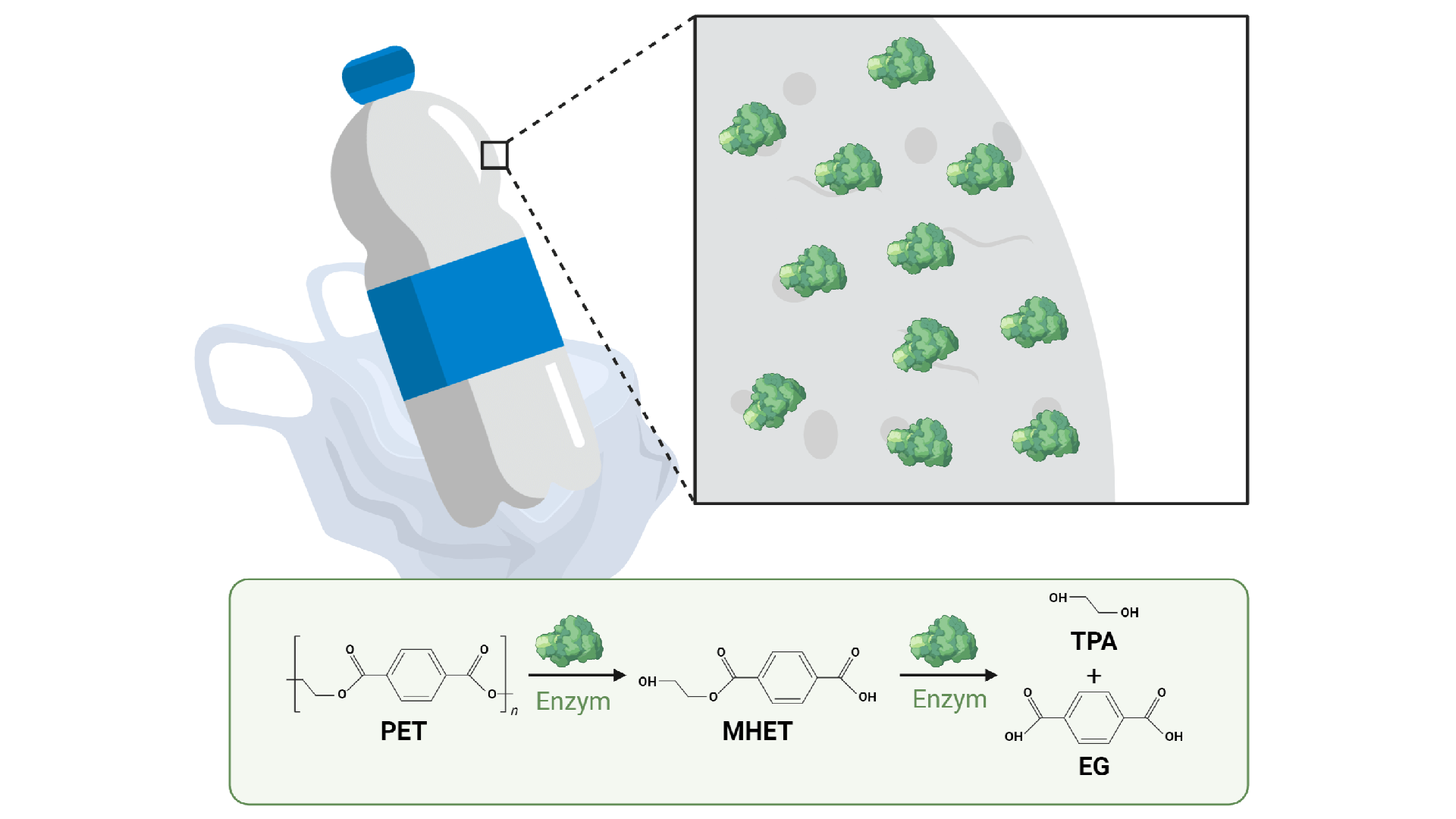 Plastiknedbrydende enzymer ©DTU Plastiknedbrydende enzymer