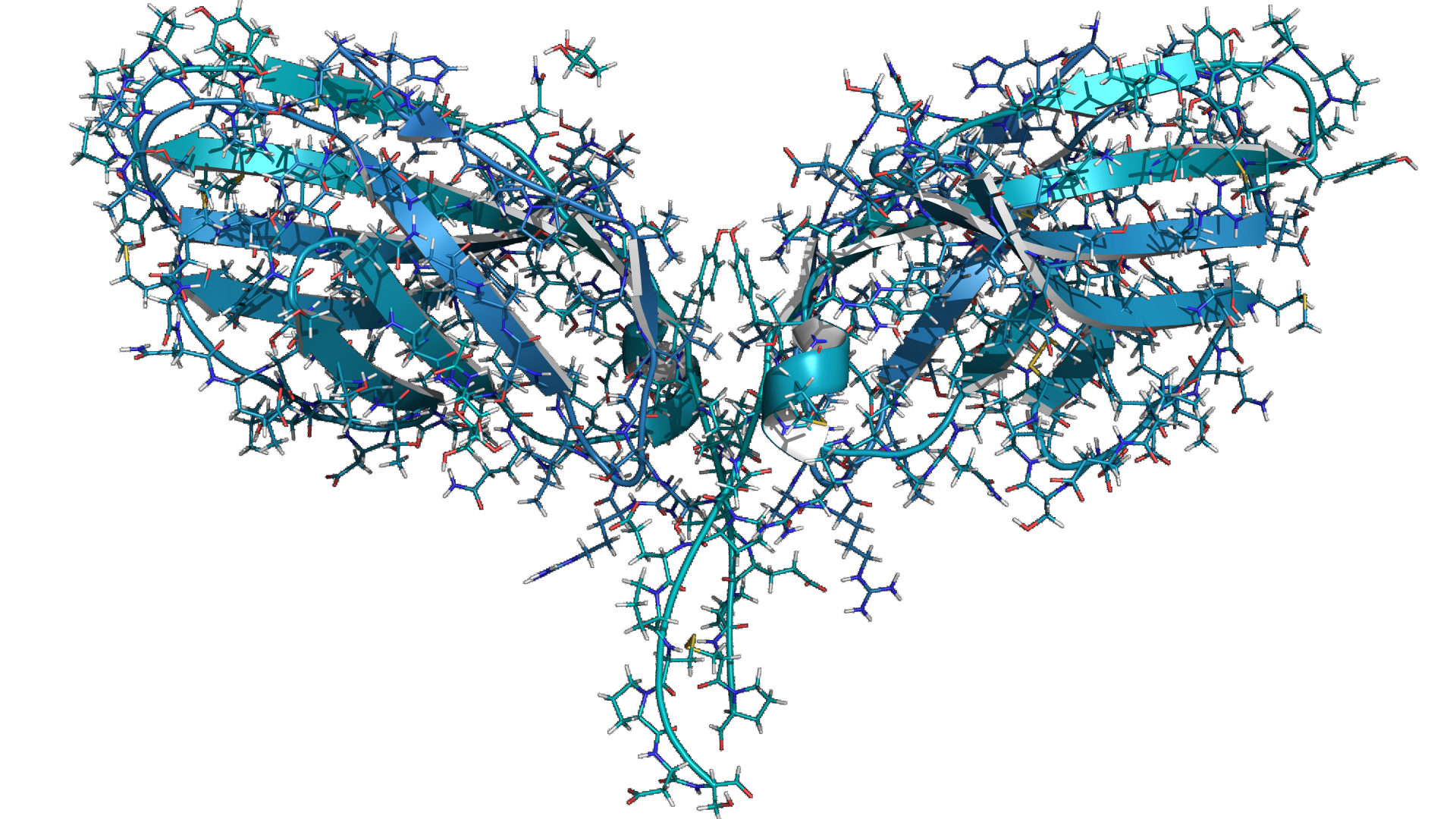 Enzyme