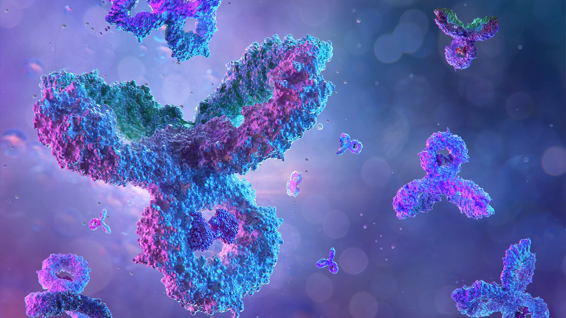 Antibodies