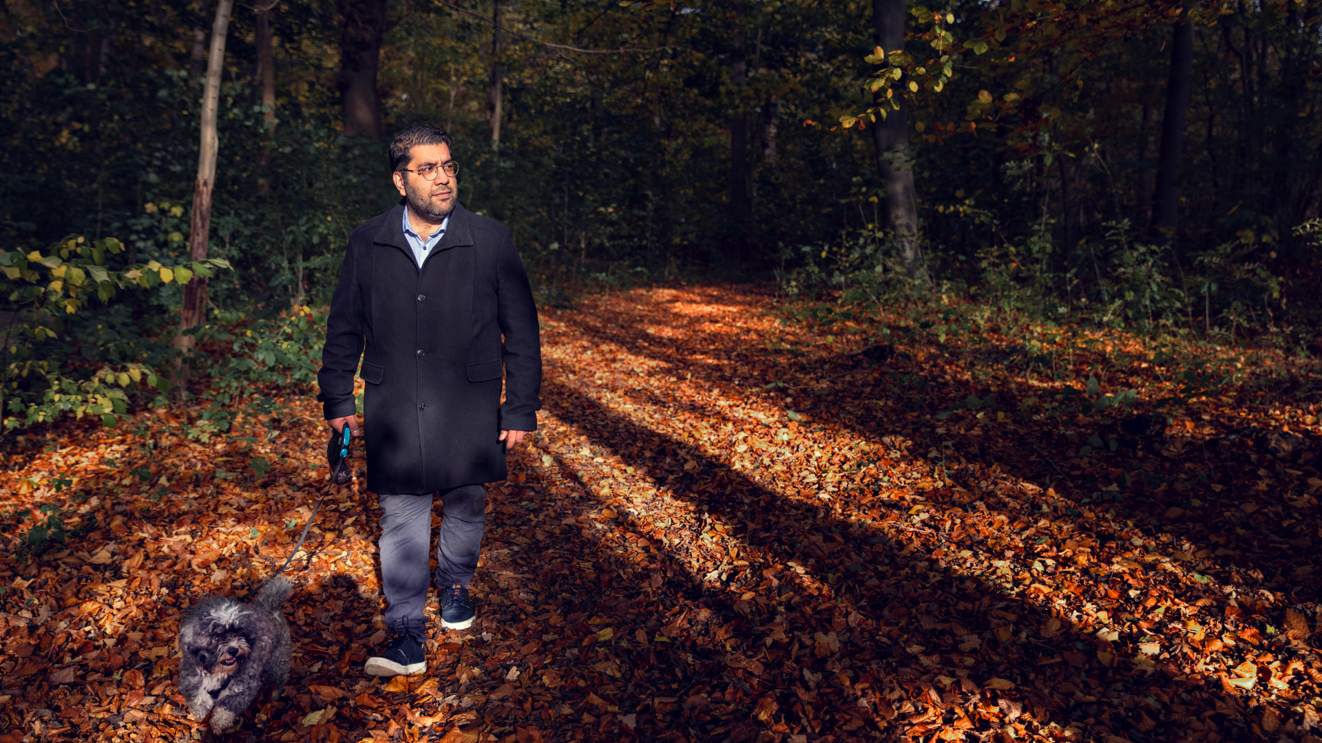 A lot of Seyed Manouris ideas occur when he takes a break from the research at DTU. For example when he walks with his dog in the nature in Klampenborg north of Copenhagen. Photo: Thomas Steen Sørensen
