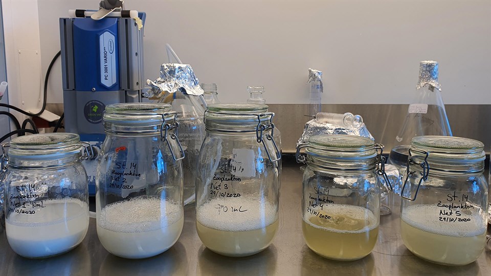 Five samples of sea water on a laboratory bench.