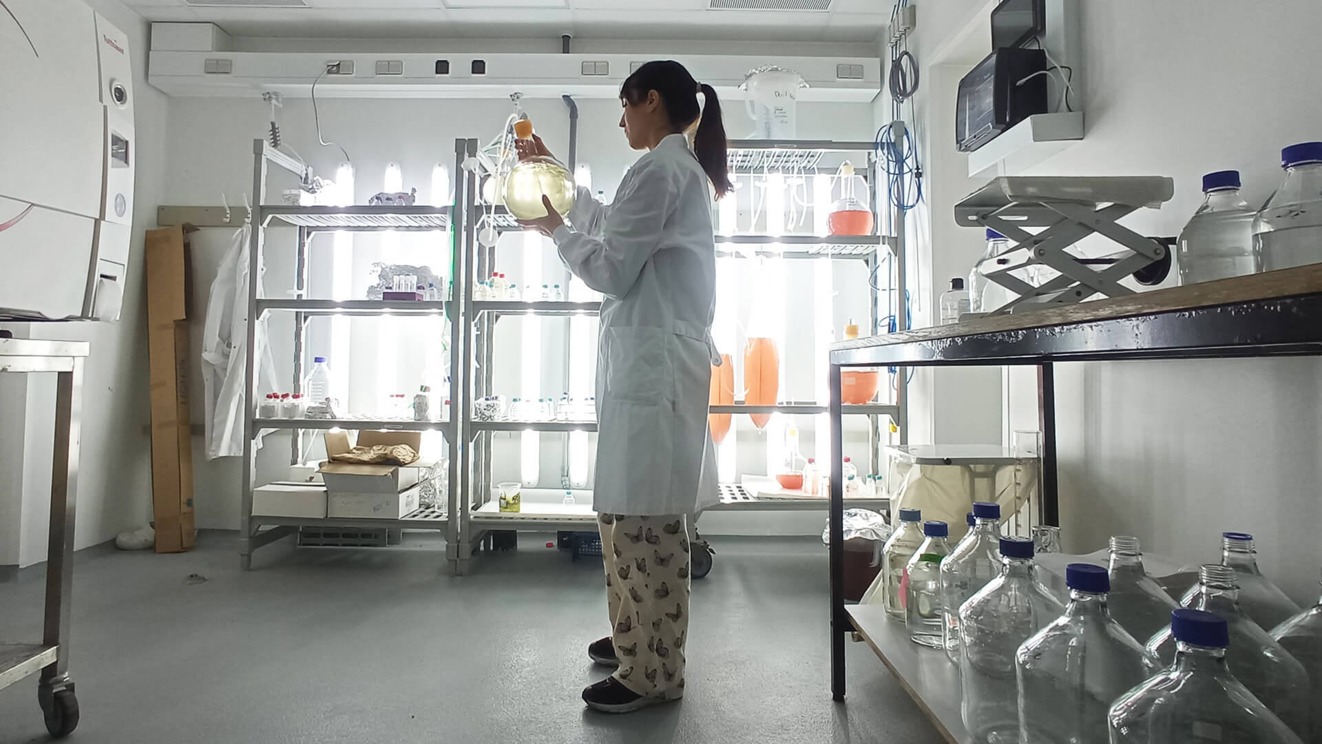 Female reseacher in DTU's algae room examining samples.