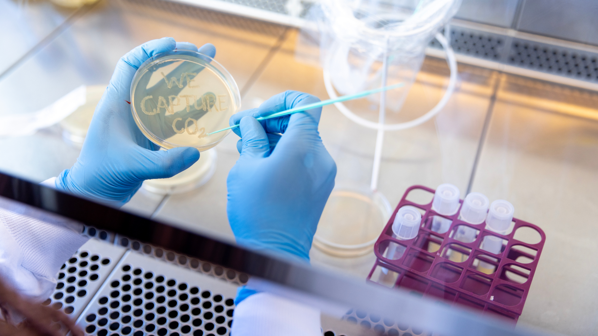 Bacteria designed by researchers can help solving one of the big CO2 challenges in the construction industry. Photo: Thomas Steen Sørensen