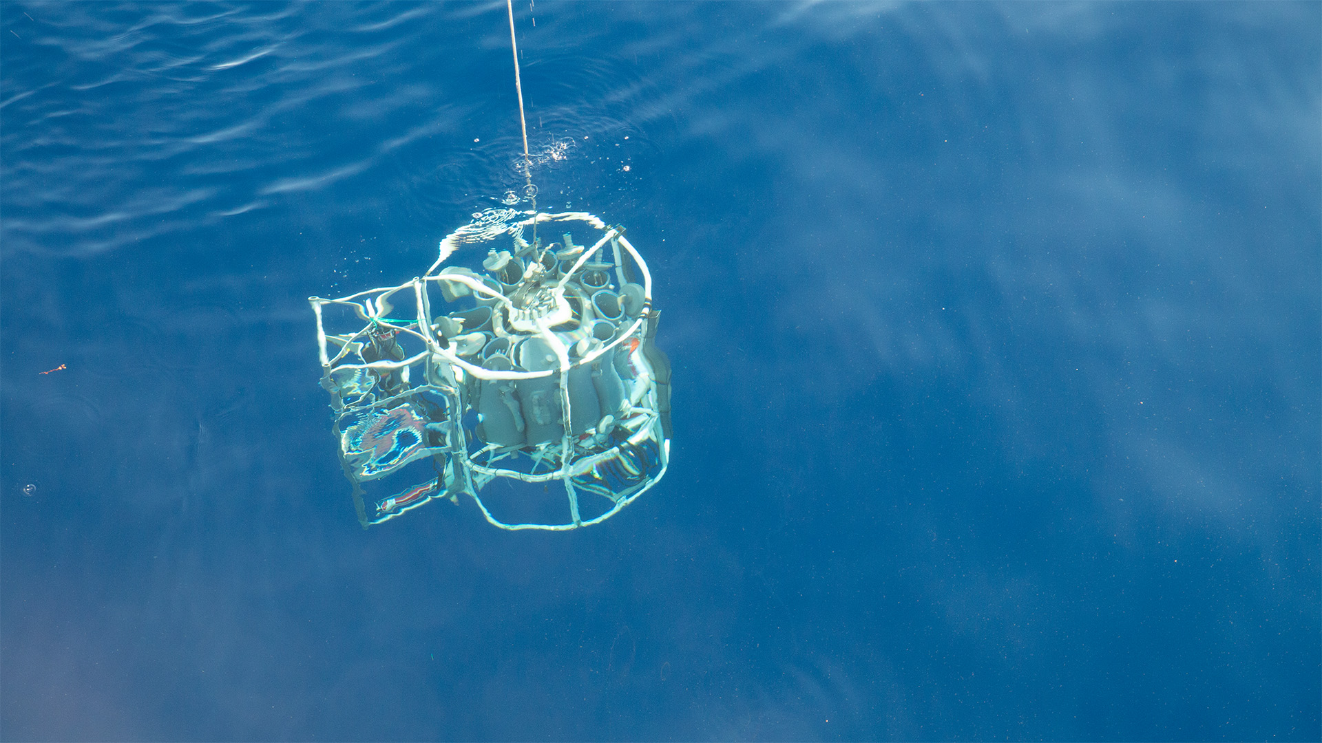 New study programme ensures sustainability in Blue Growth. Blue growth or blue economy is driven by an international urge to utilize the oceans better.