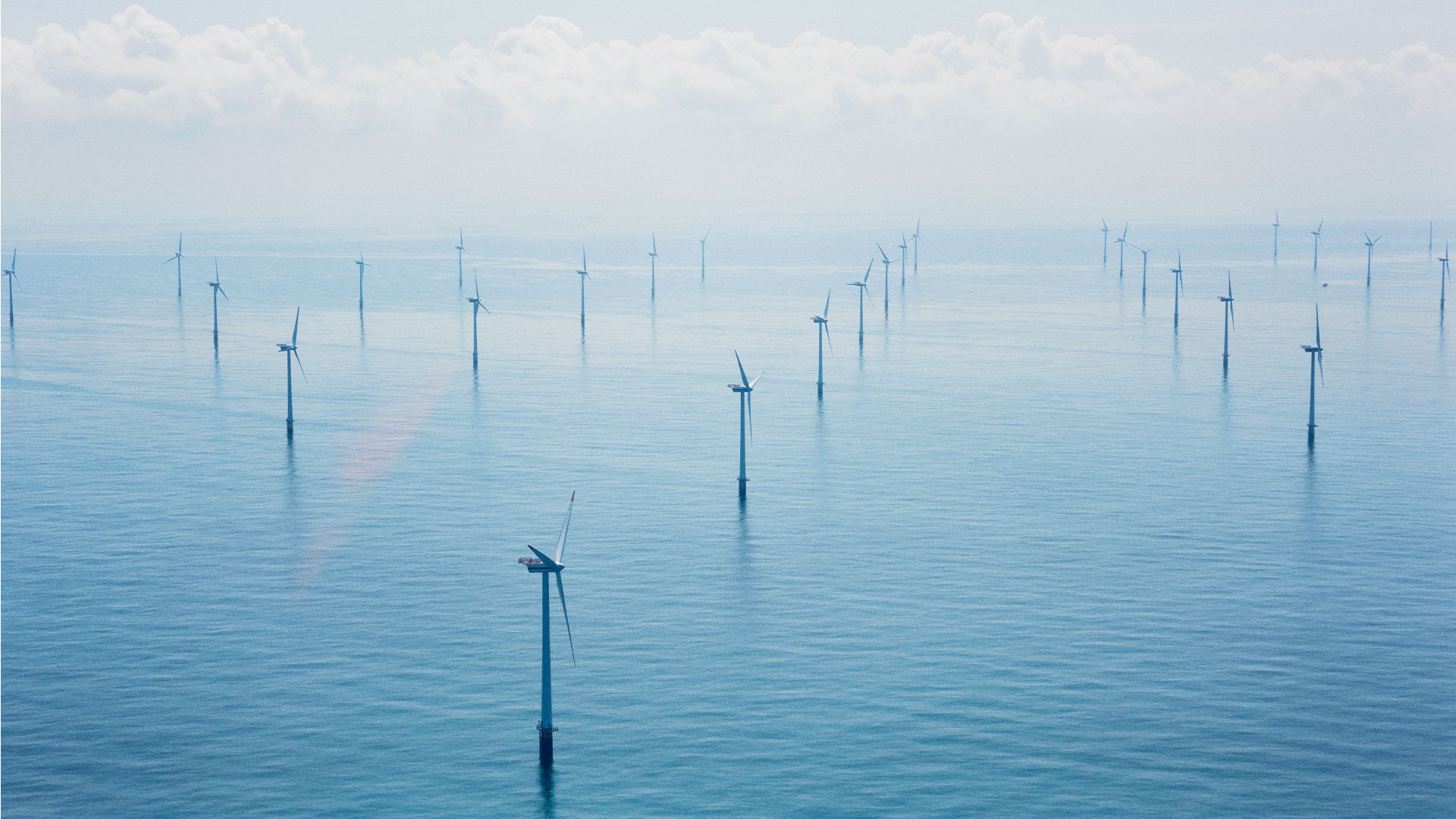 Offshore wind turbines. Photo: Vattenfall