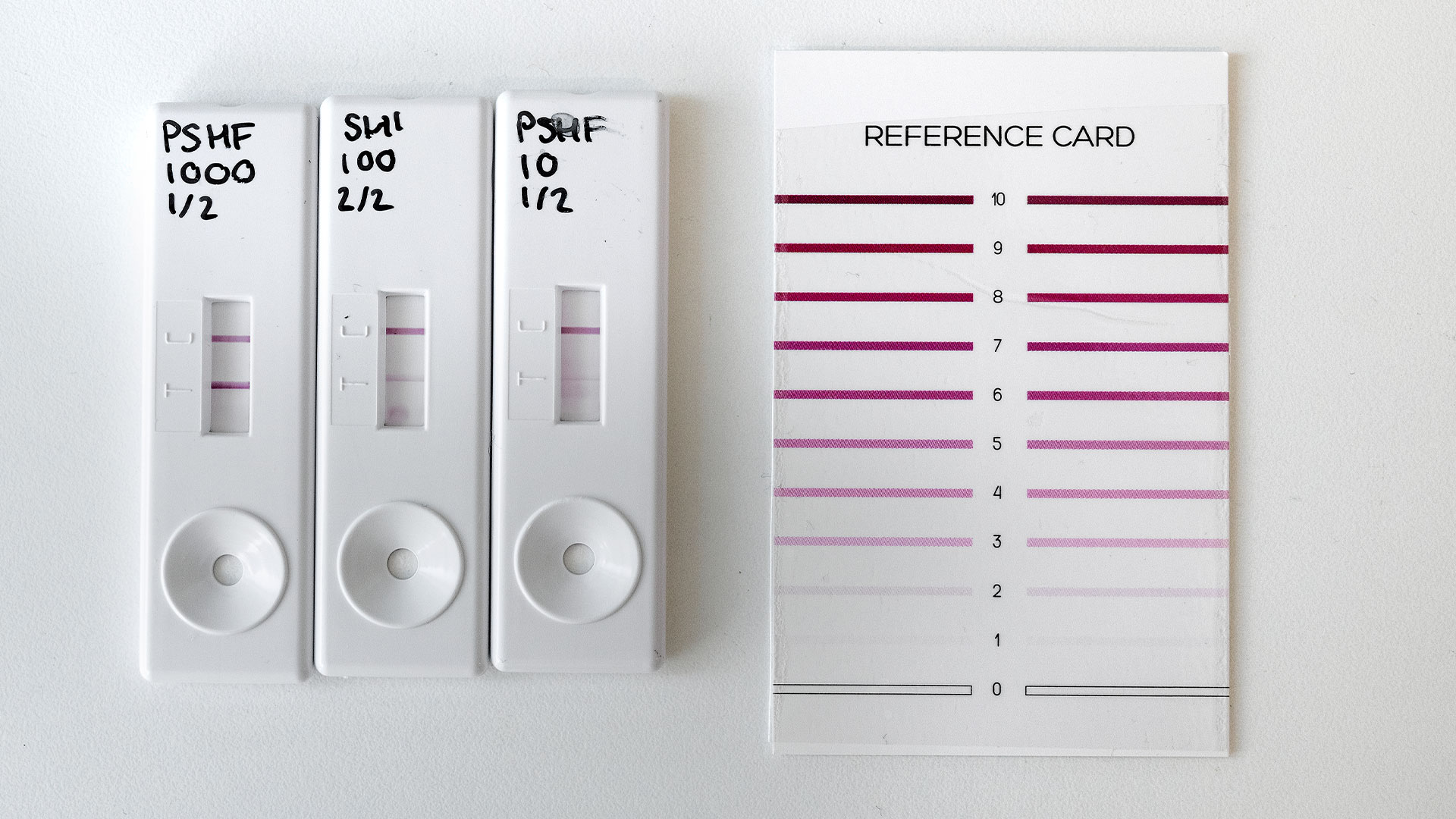 Three quick tests for use in relation to snake bites  are lying on a table next to a reference card that shows how to read the test results. Photo: Bax Lindhardt