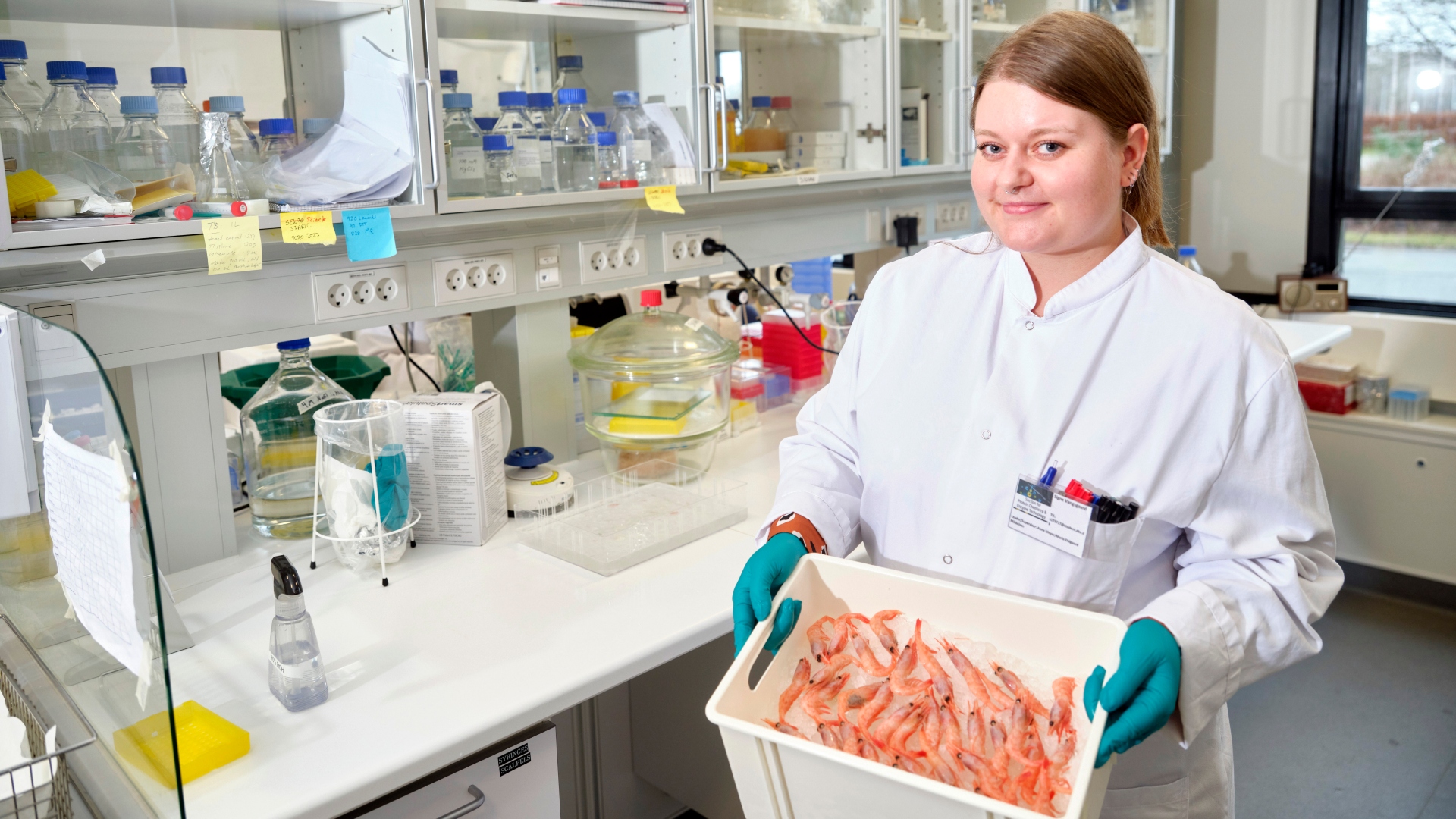 Signe Vangsgaard currently spends most of her working hours in the laboratories at DTU, but the further she gets with her research, the more time she will be spending at Royal Greenland’s test centre in North Jutland. Photo: Magnus Møller.