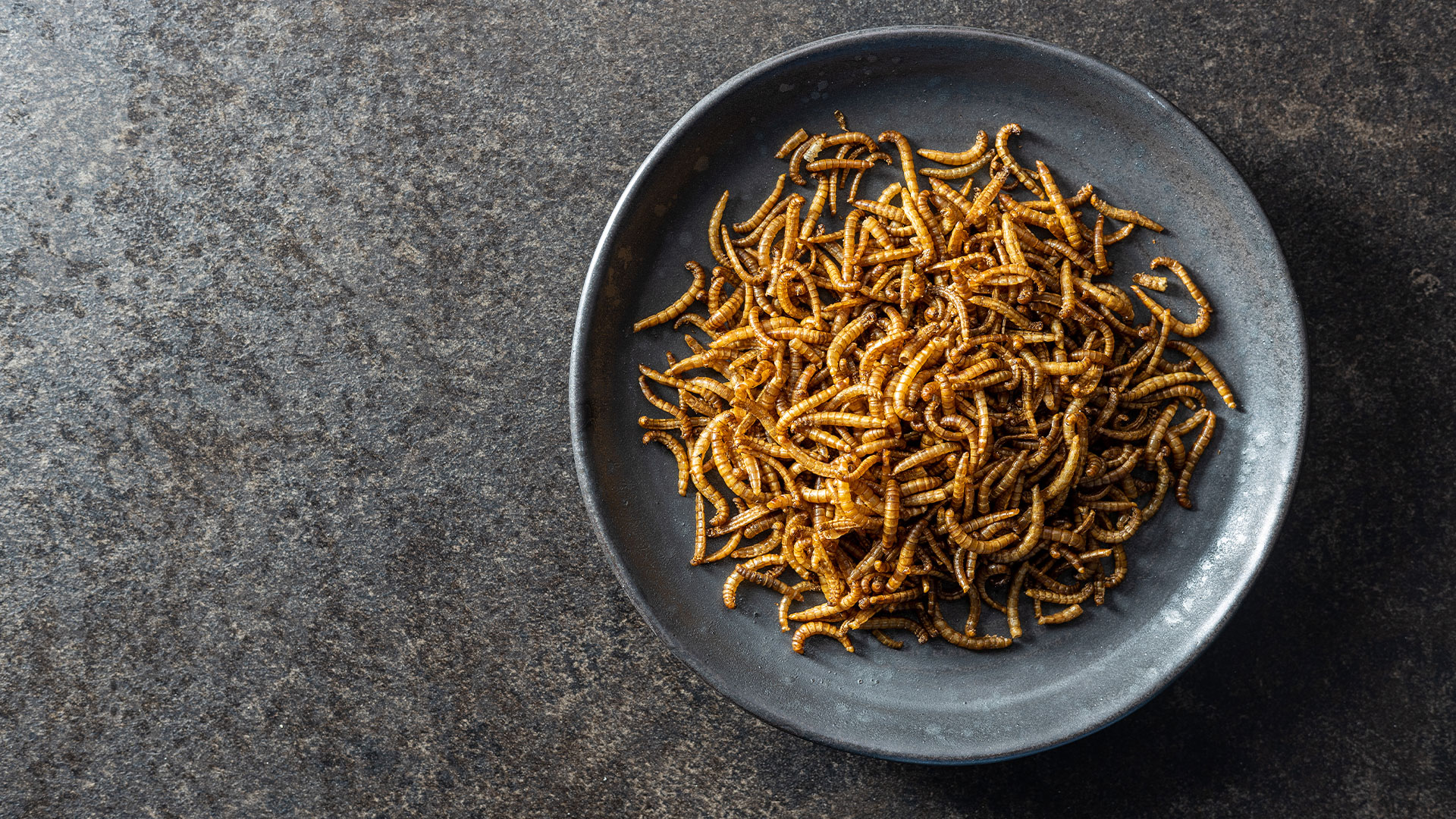 A bowl of roasted meal worms. Photo: Colourbox