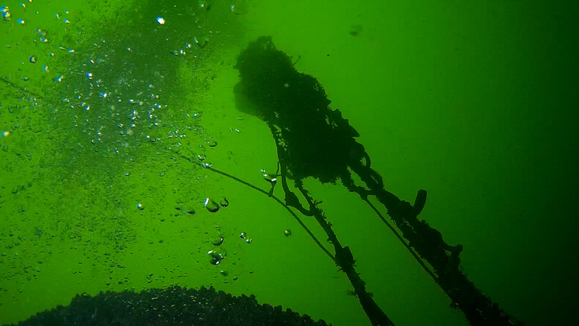  A lost fishing net that is being removed from a shipwreck.