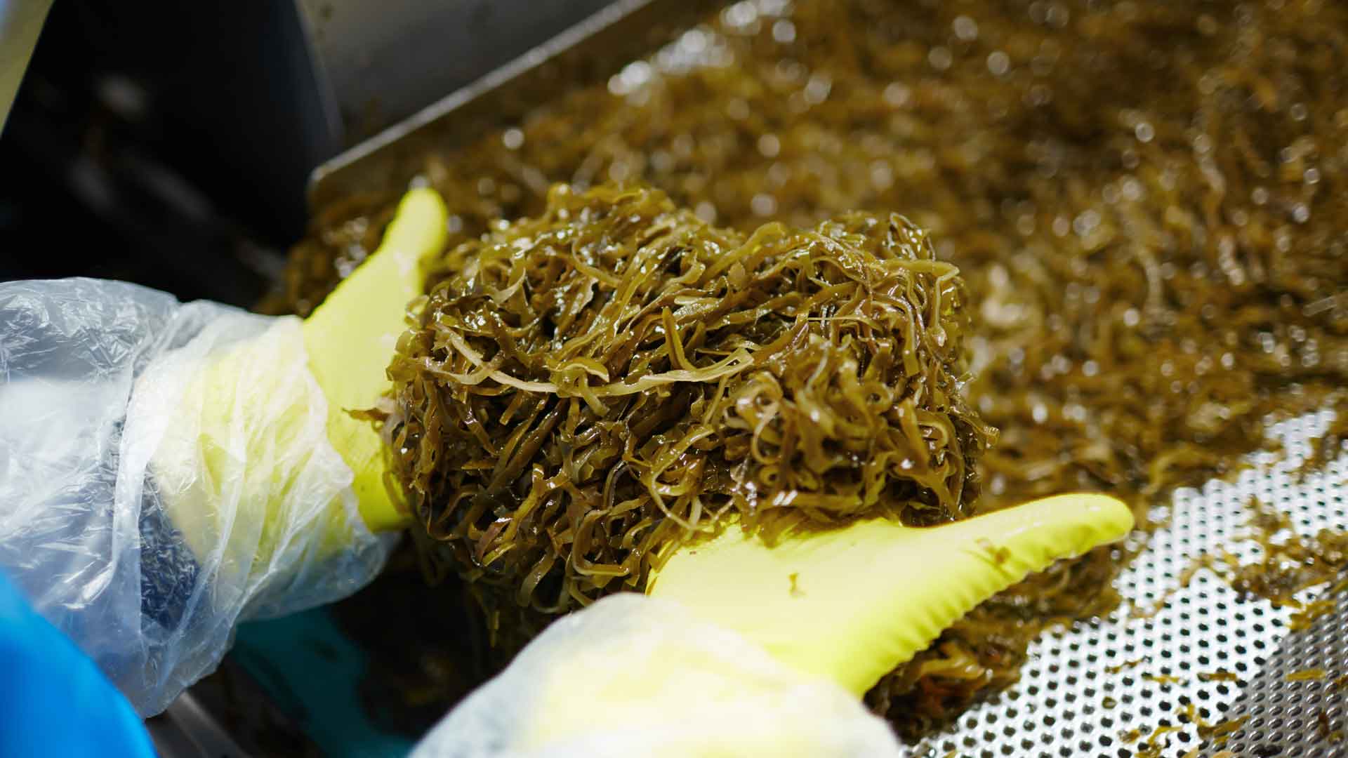 Food Technology