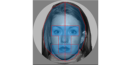 The conventional method; hand-drawn areas of interest. Credit: Attribution 4.0 International (CC BY 4.0) / Cortex:  ’Data-driven analysis of gaze patterns in face perception: Methodological and clinical contributions’. 