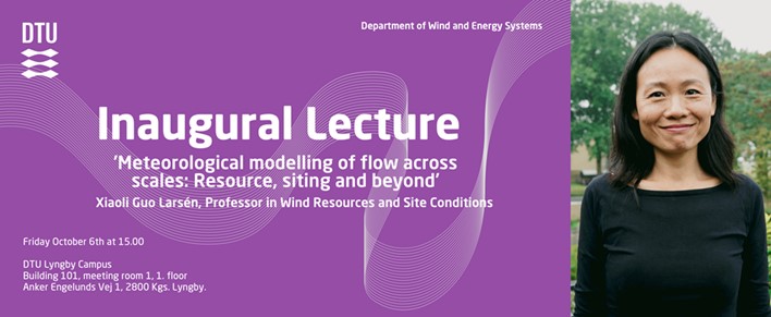 Professor Xiaolí Guo Larsén's inaugural lecture