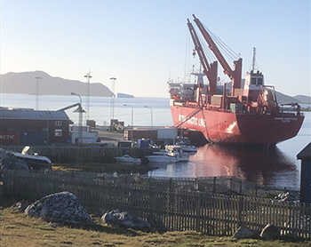 Grønlands livsvigtige transport her i form af Royal Arctic Line (foto: Gestur Hovgaard).