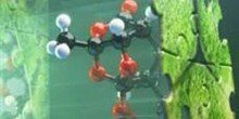 Molekyler med grøn baggrund
